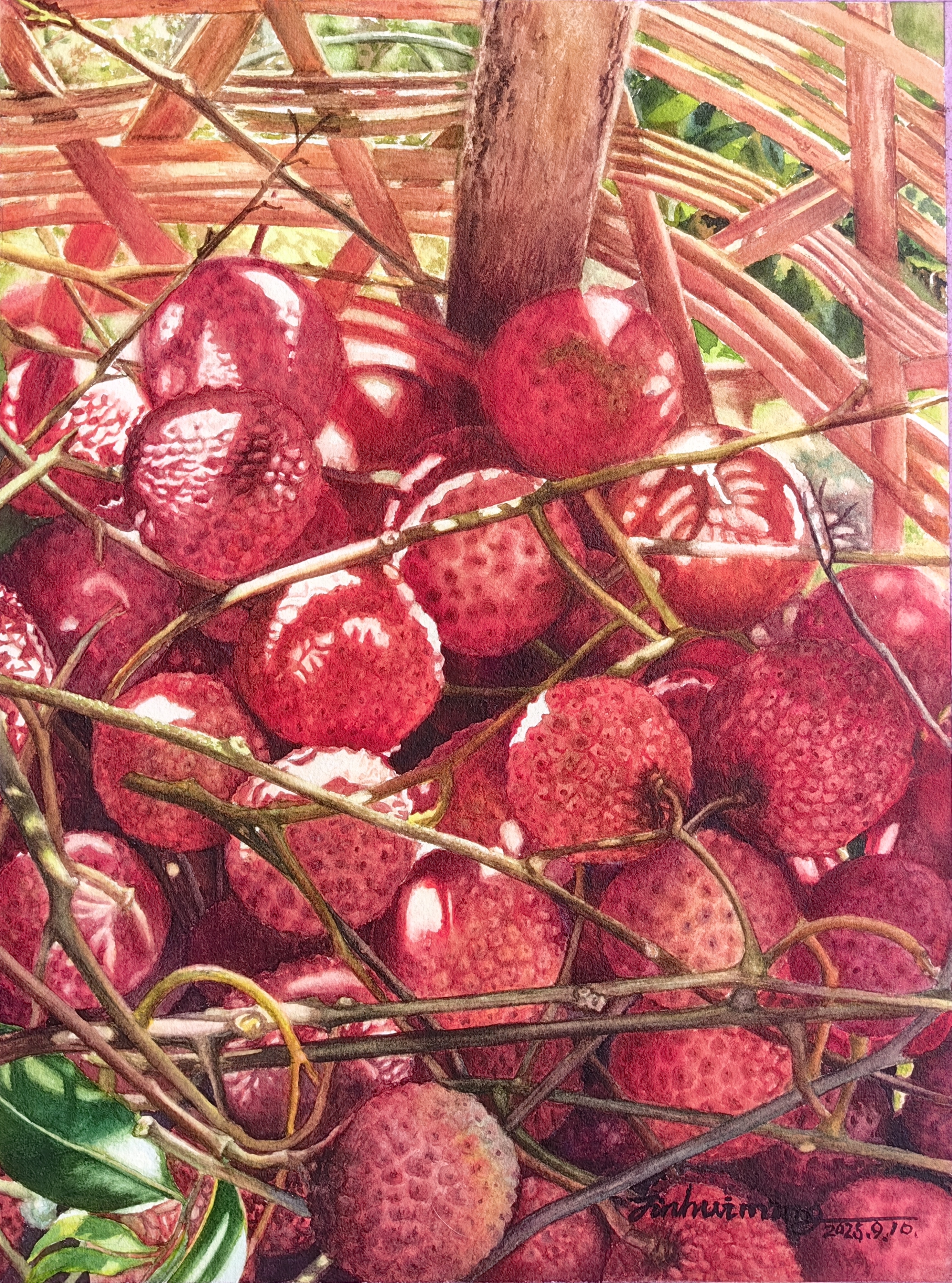  Auspicious Lychee -Third Prize