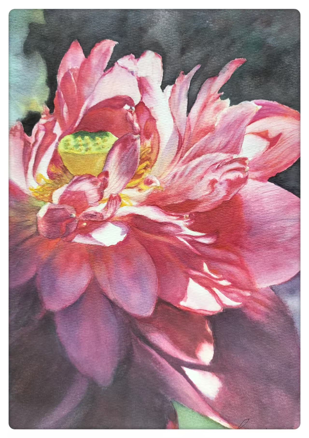  Radiant Bloom -Third Prize