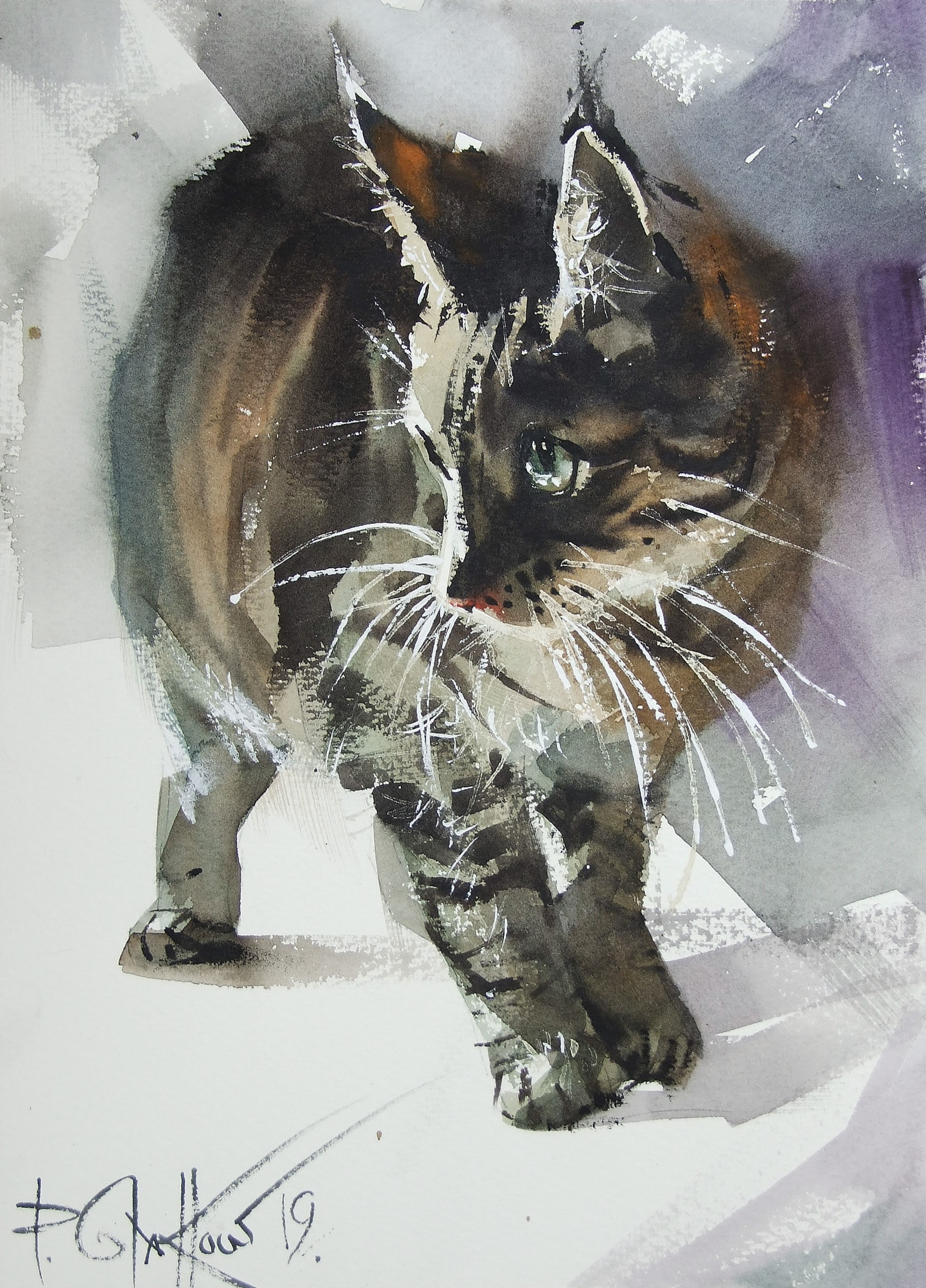 I Don't Bite for No Reason-Third Prize