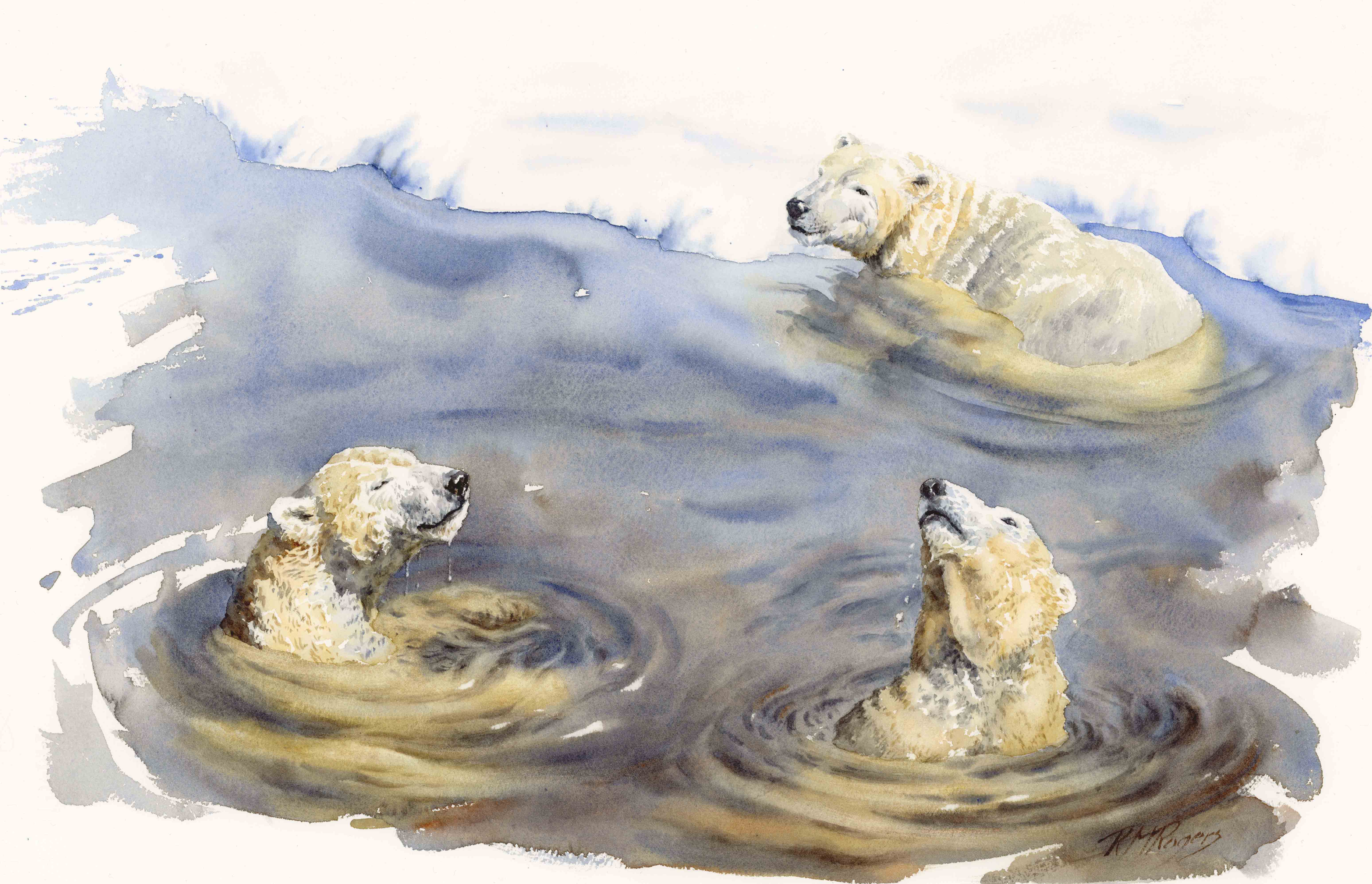 Bears at Play-First Prize